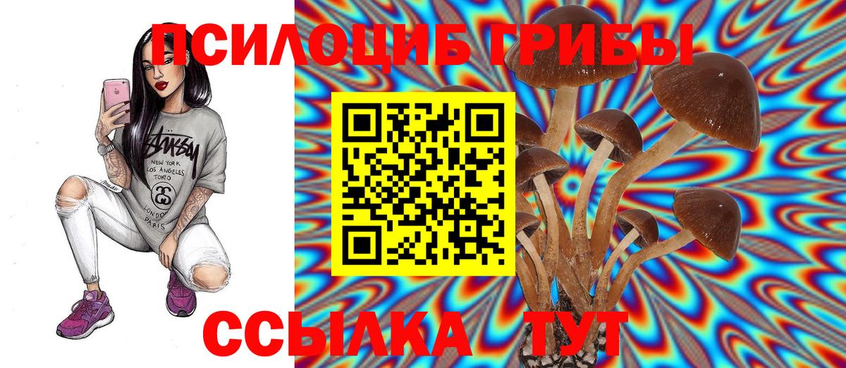 Галлюциногенные грибы Psilocybine cubensis Бирск