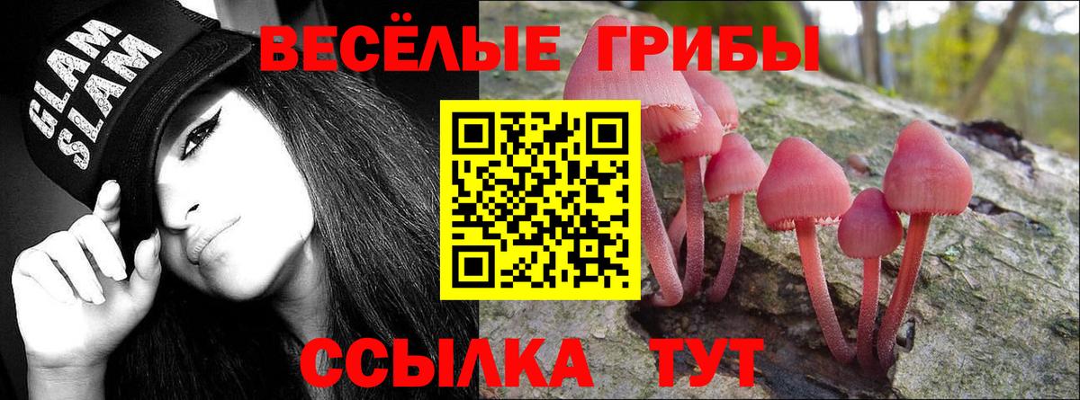 Псилоцибиновые грибы прущие грибы  Вход с VPN  закладки  Бирск  Галлюциногенные грибы Cubensis 
